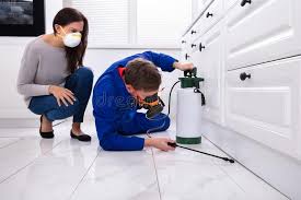 Emergency Pest Control Services in Cocoa, FL